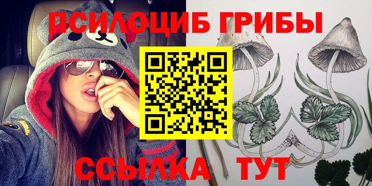 Псилоцибиновые грибы MAGIC MUSHROOMS  Вход с VPN  Новоалександровск 