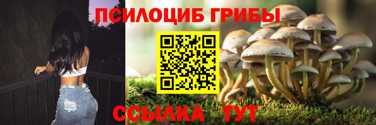 Галлюциногенные грибы мухоморы Новоалександровск